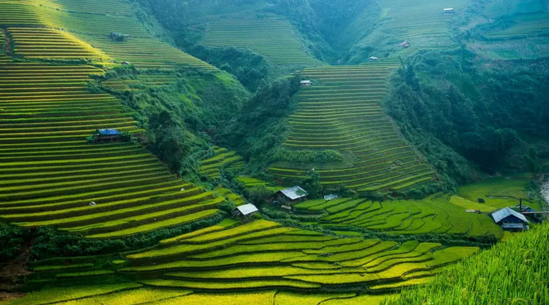 Accommodation in Sapa – Experience and Suitable Types of Stay