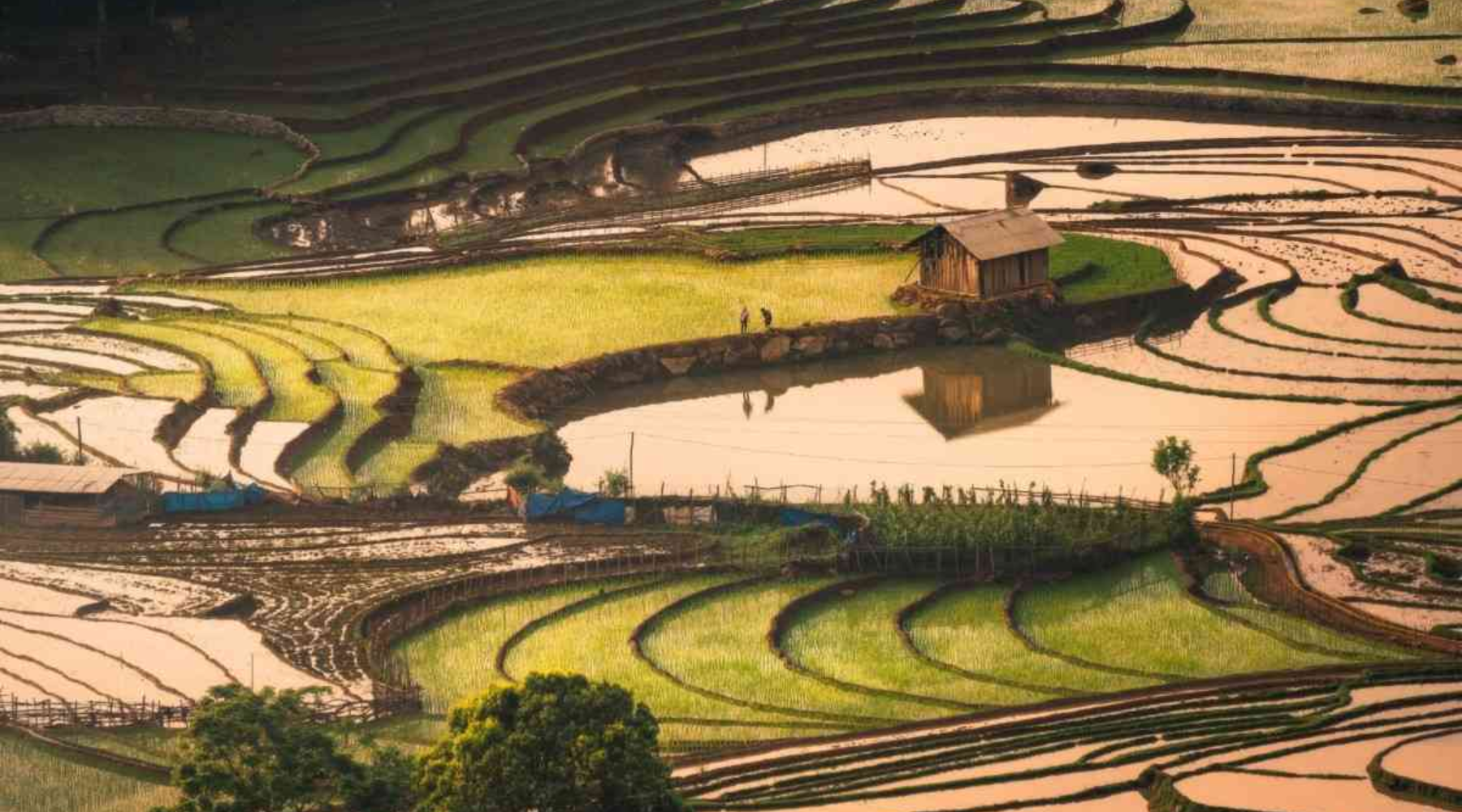 Water season – a poetic and stunning landscape