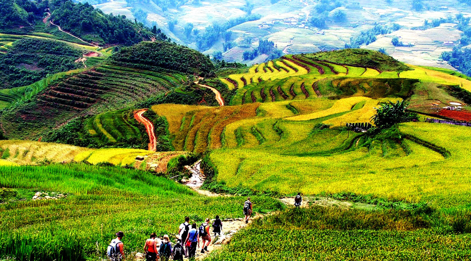 Trekking through terraced rice fields