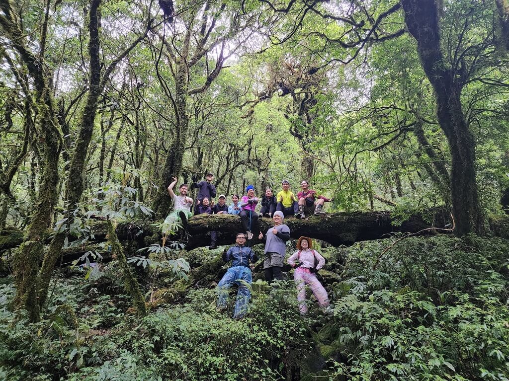Dense forest trail inside Hoang Lien National Park