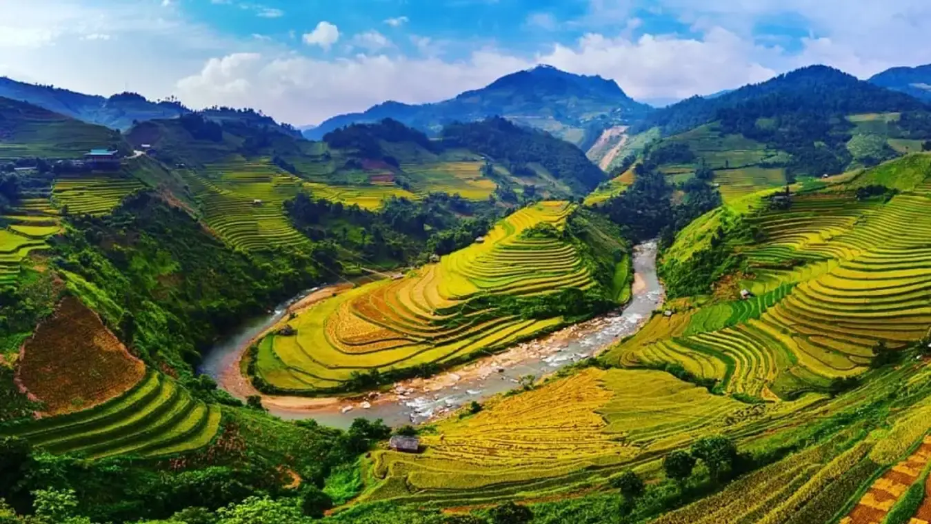 Muong Hoa Valley and terraced rice fields