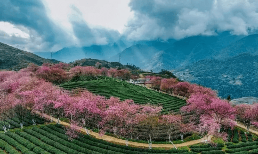 Natural Swimming Pool In Sapa –  Stream Bathing Spot Amid the Mountains