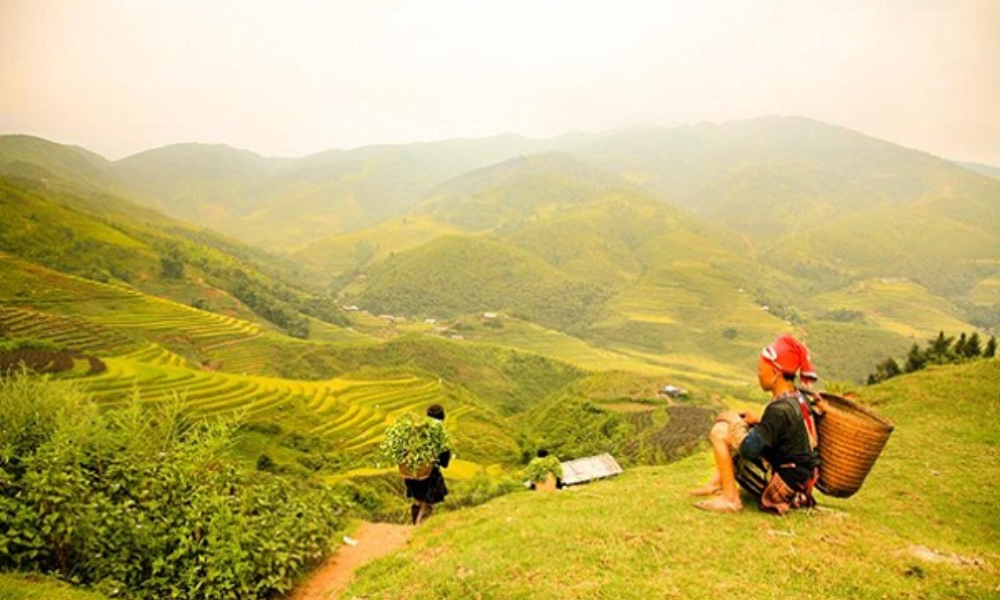 Sapa In Summer
