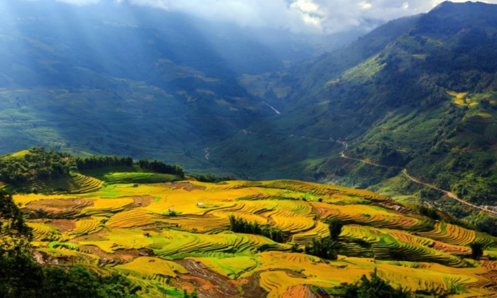 Sapa in autumn