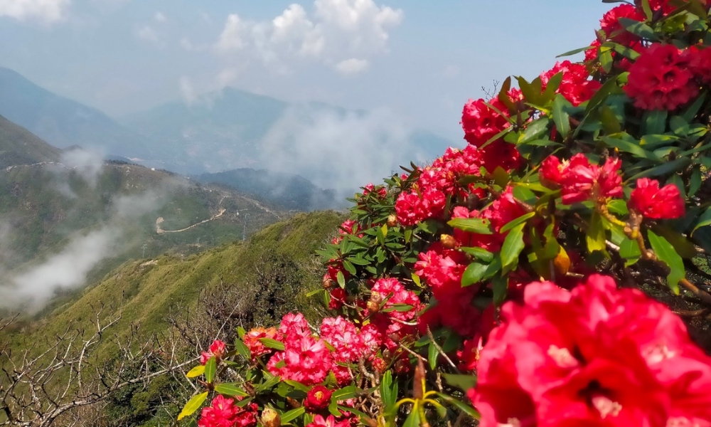 Sapa-in-spring-13