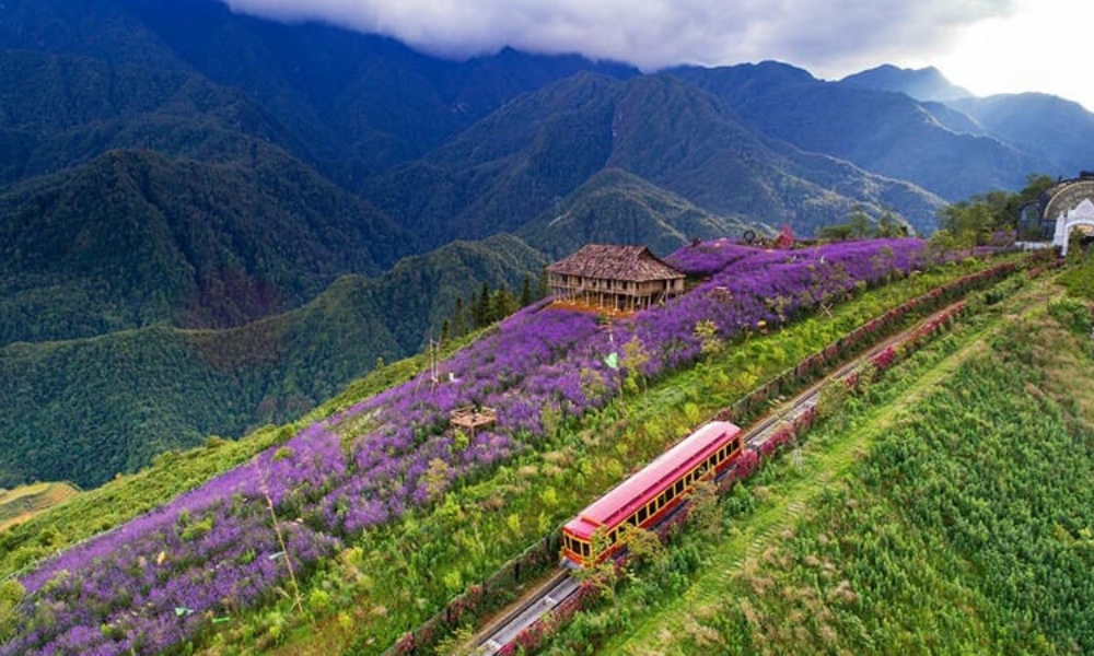 Sapa-in-spring-3