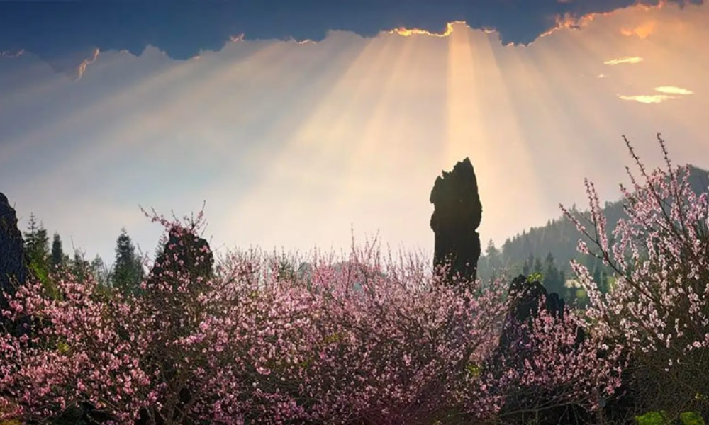 Sapa-in-spring-4