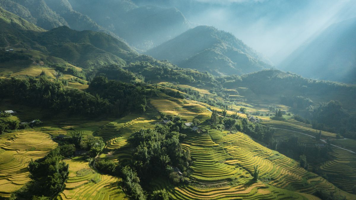 Sapa in summer? Guides and experiences you shouldn’t miss