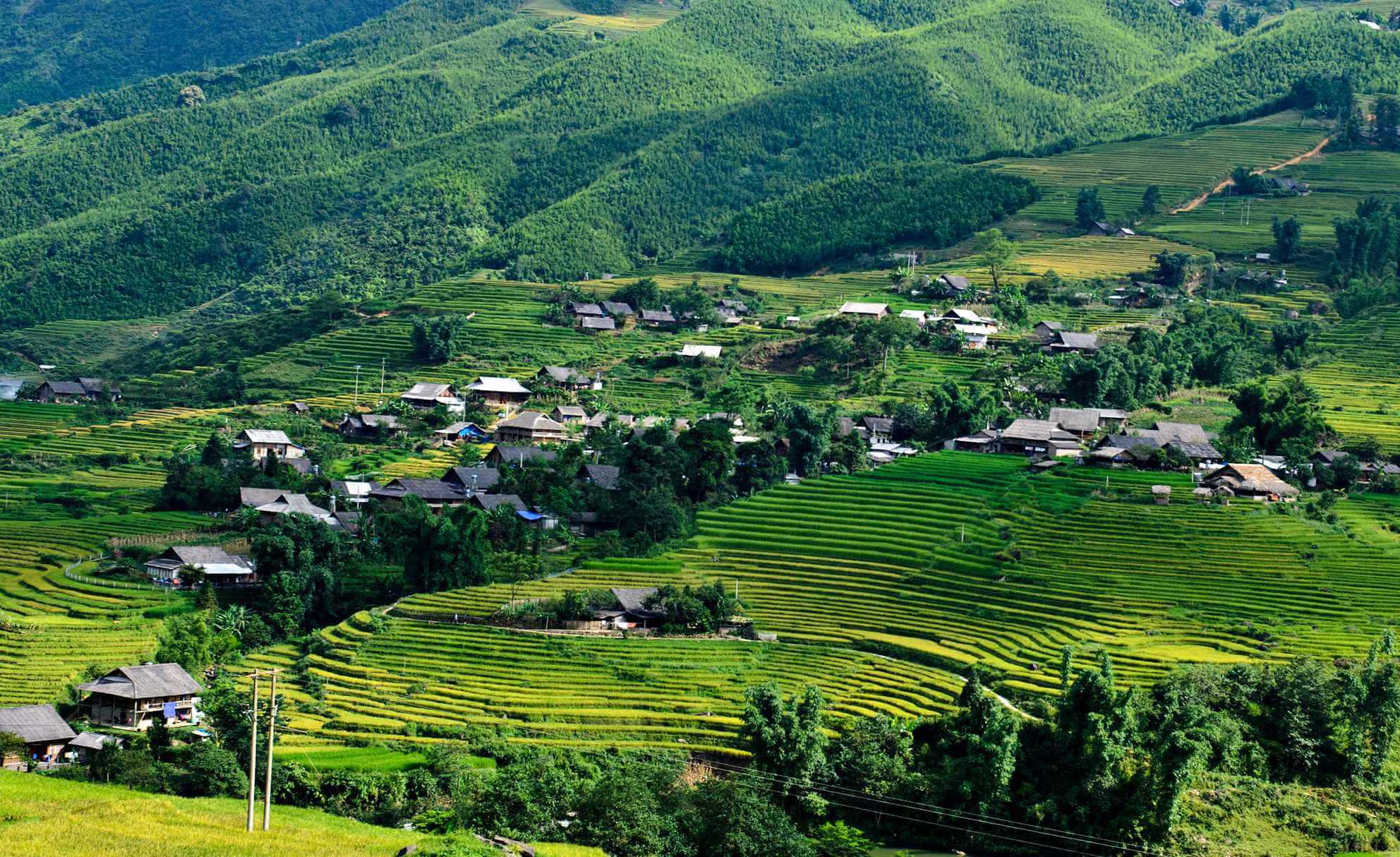 Scenic view of Lao Chai village surrounded by rice fields