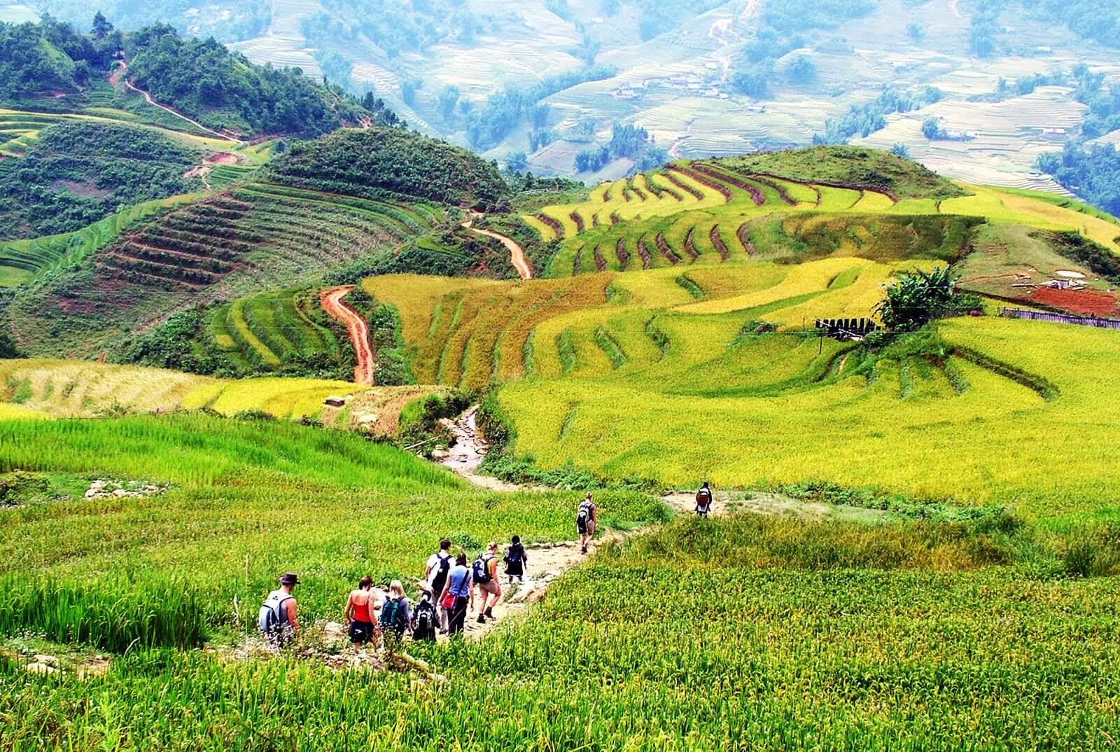 Scenic walking trail winding through terraced fields