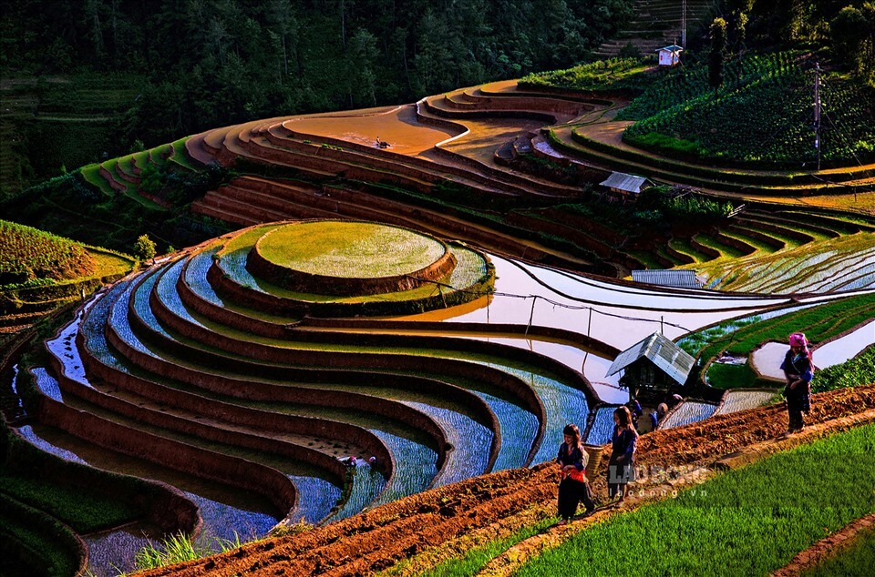 Sapa Vietnam Places To Visit: Top Attractions & Hidden Gems