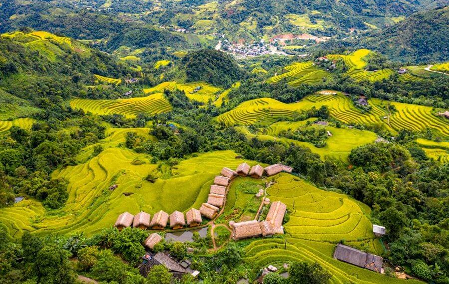Wooden homestay surrounded by terraced fields