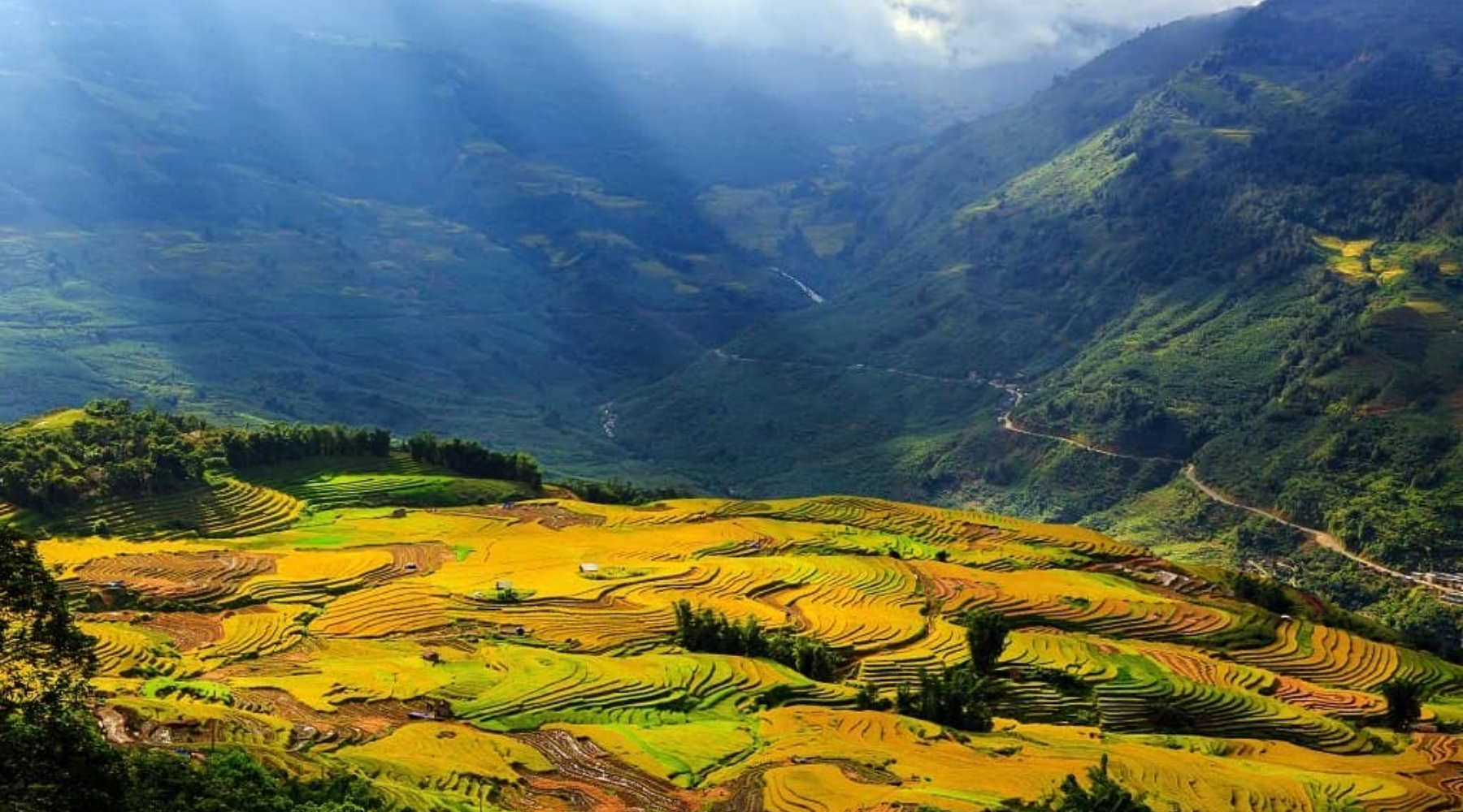 Muong Hoa Valley – The Famous Terraced Rice Fields of Sapa