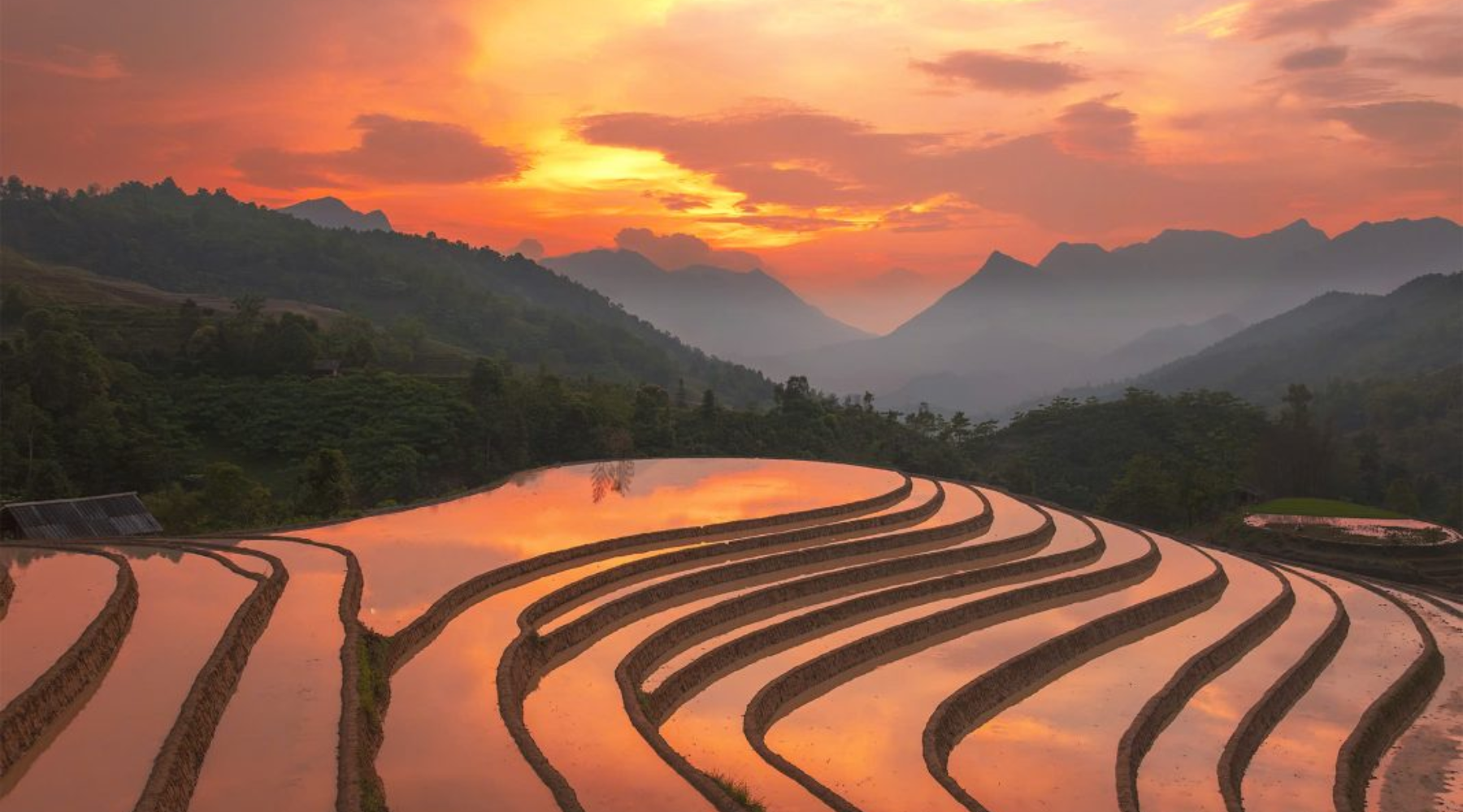 Terraced fields during the water season