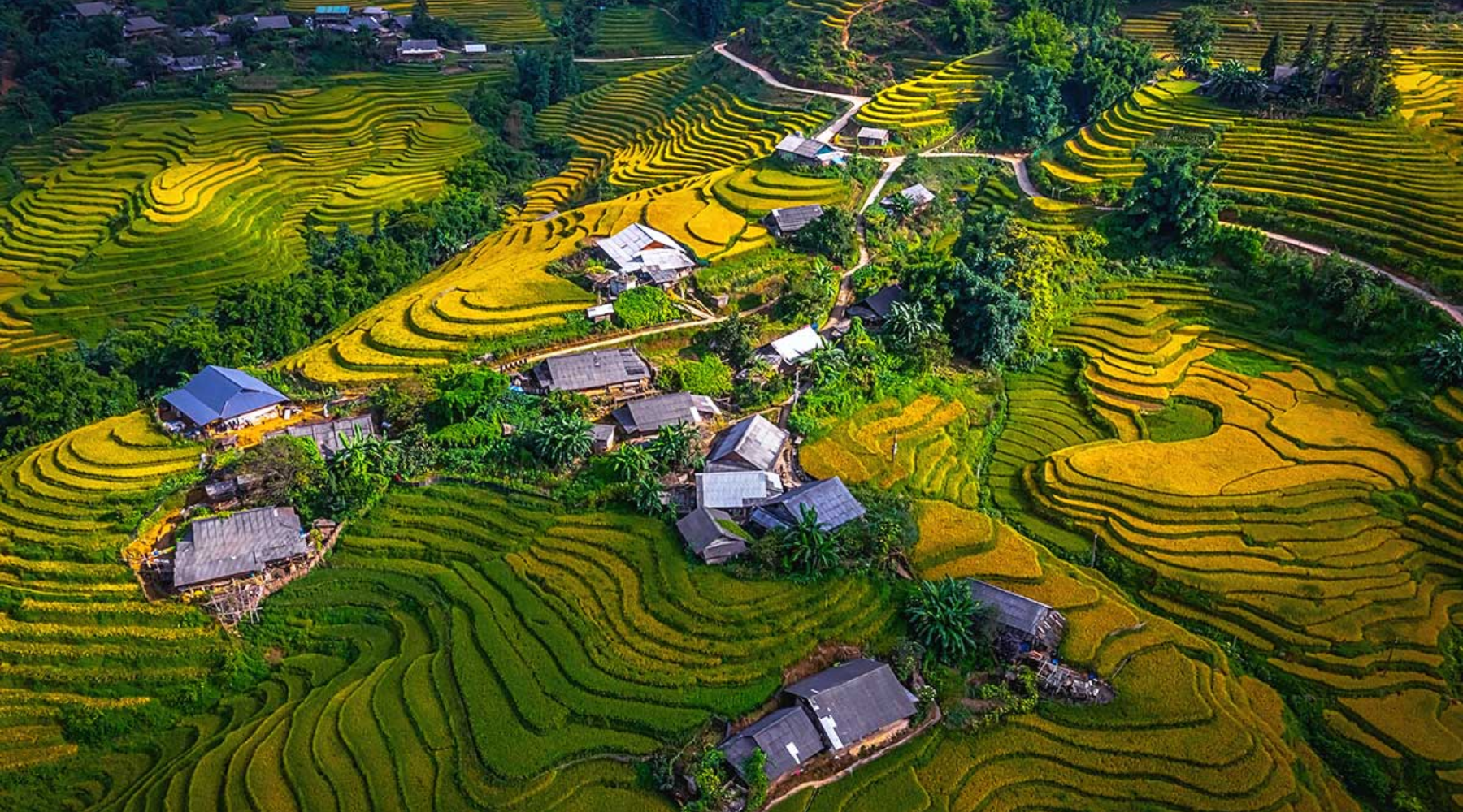 Y Linh Ho Village: Trekking, Scenery & Detailed Notes