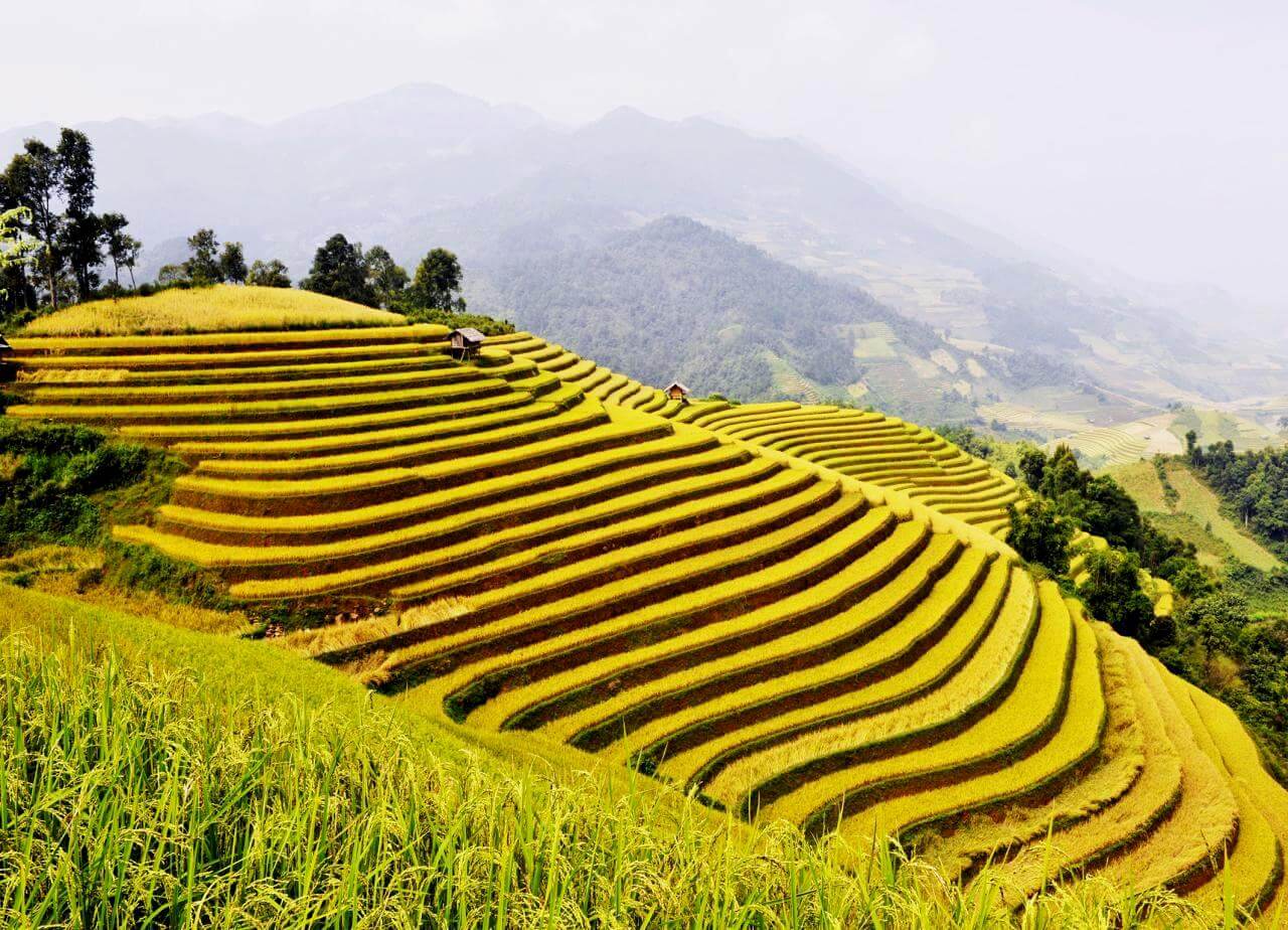 Sapa Rice Terraces: Best Viewpoints And Travel Guide