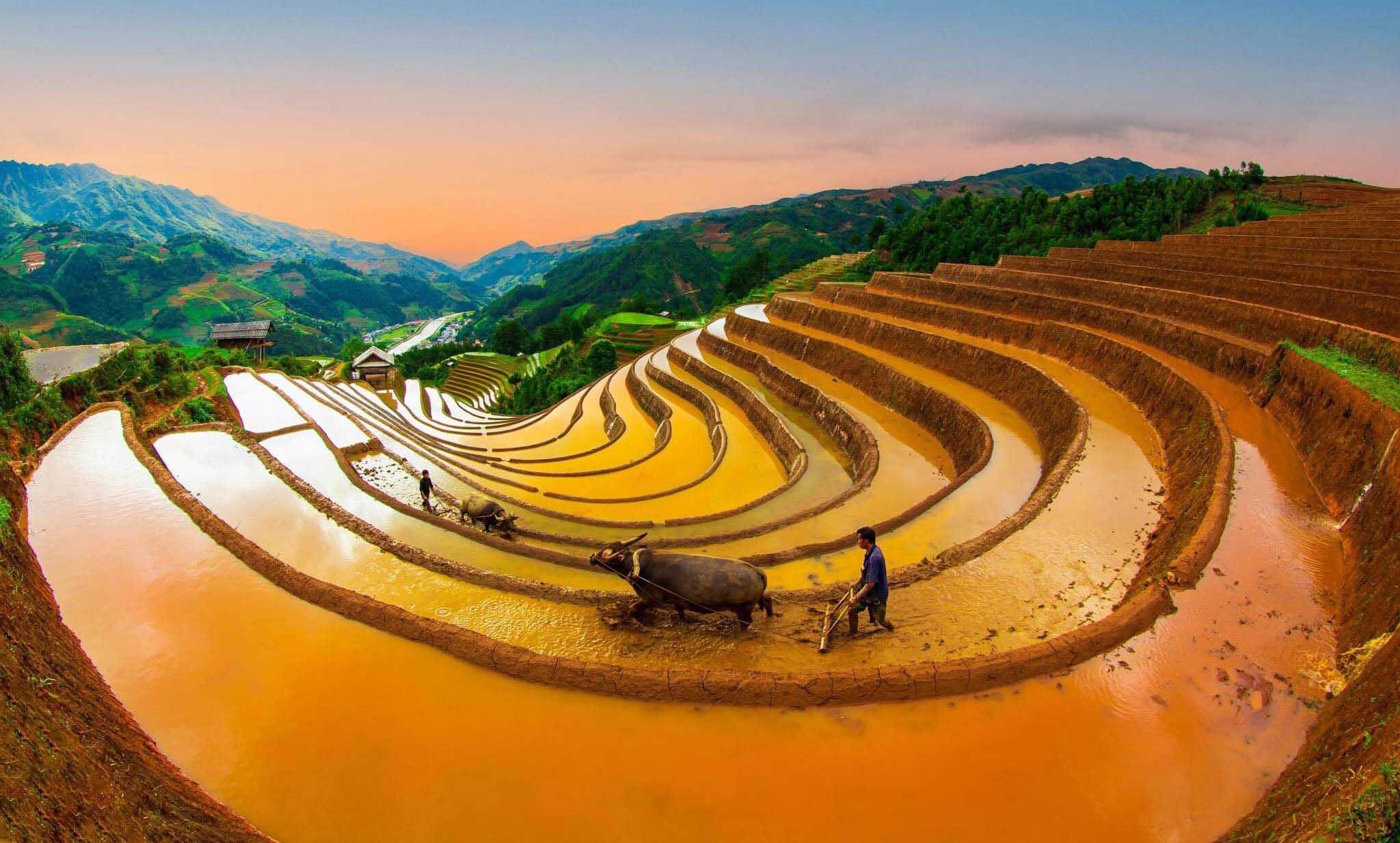 Lao Chai Ta Van rice terraces surrounding traditional mountain villages
