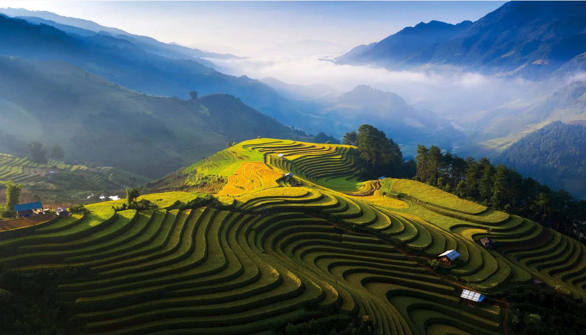 Panoramic view of Sapa mountains with rice terraces and clouds