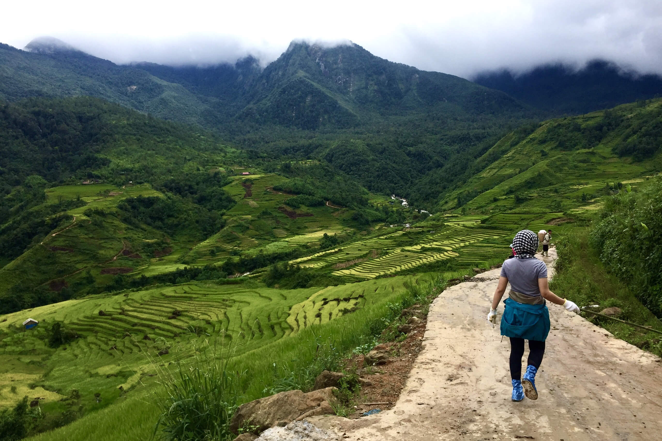 Peaceful walking trail through rice fields and forest in Sapa