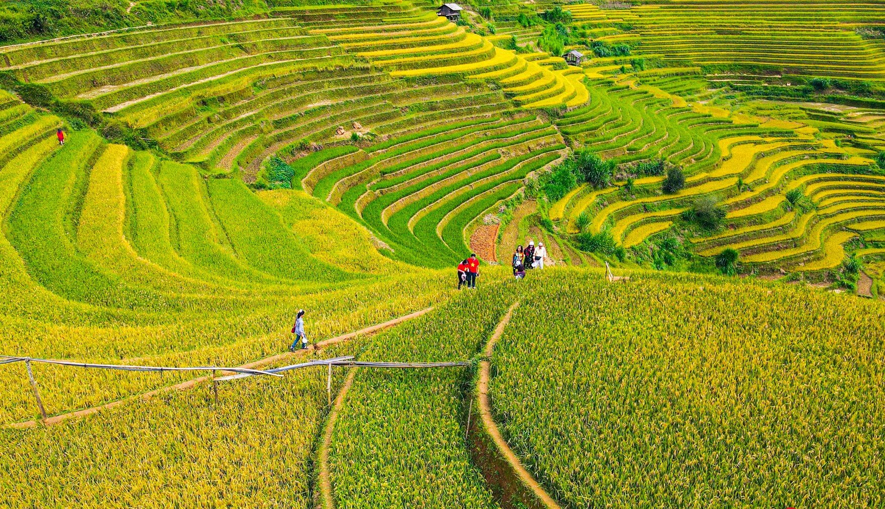 Scenic trekking trails winding through rice terraces and mountain valleys