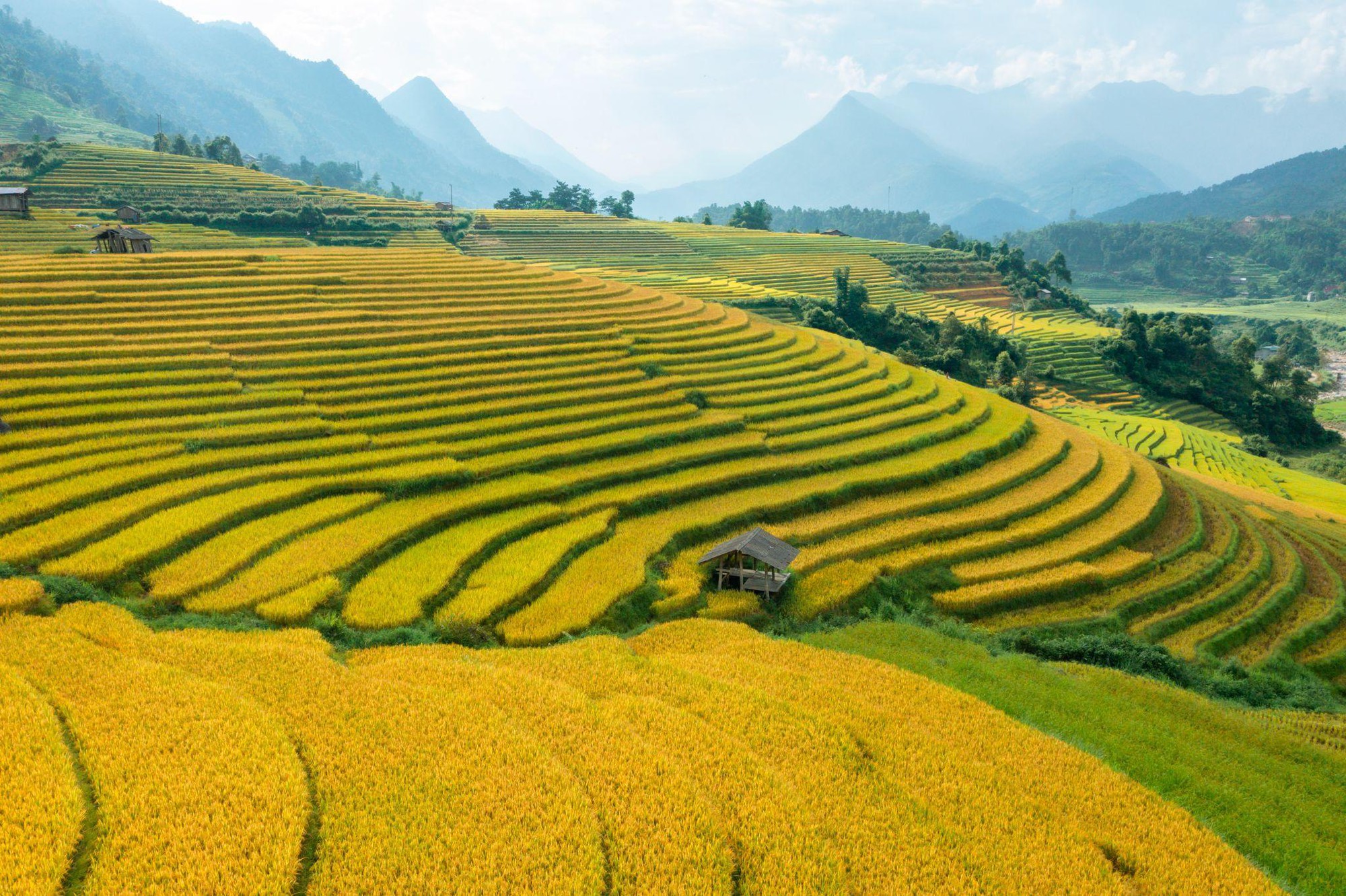 Terraced rice fields and valley scenery viewed from a mountain ride