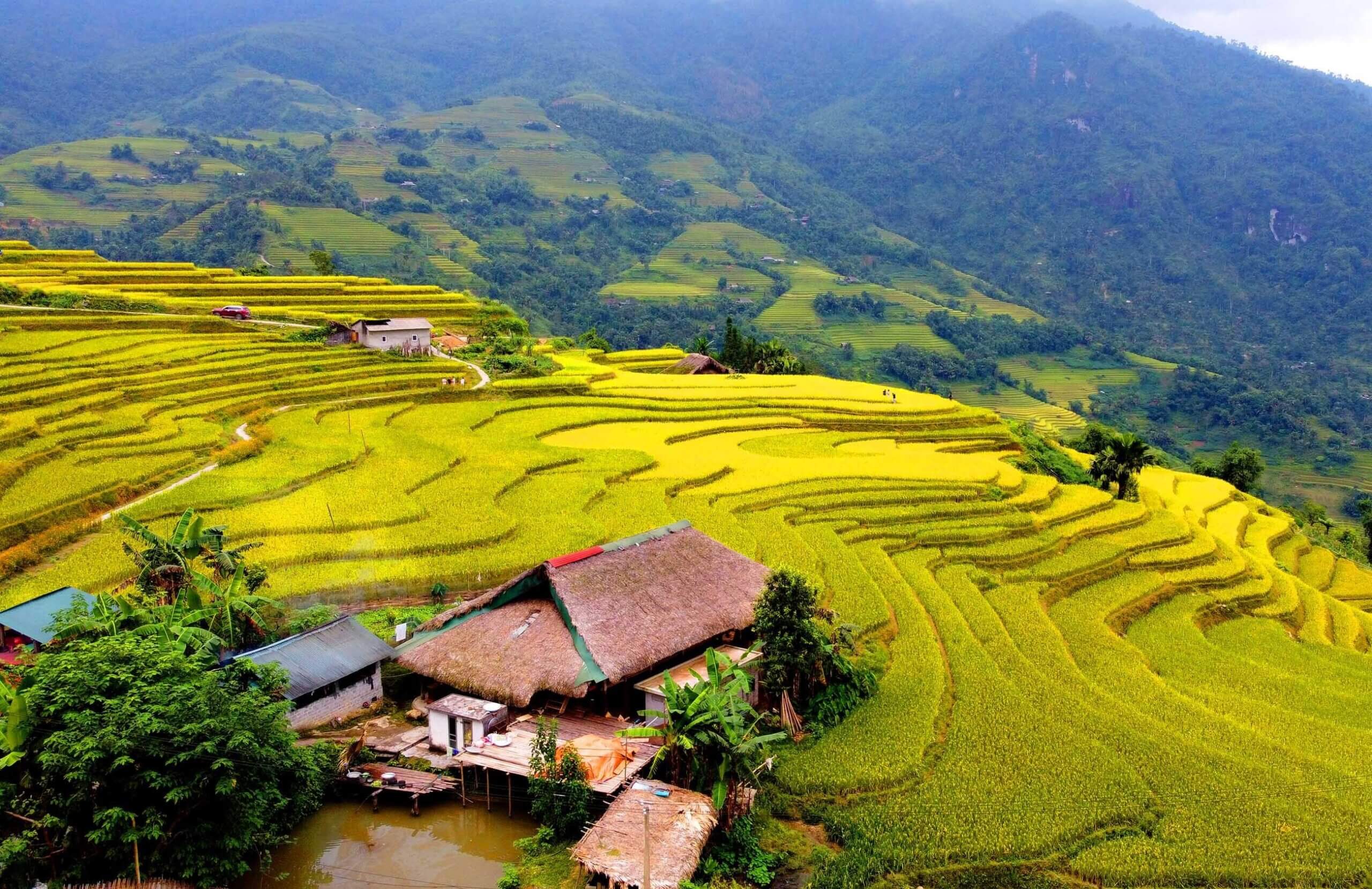 Traditional terraced farming landscape on mountain slopes in Sapa