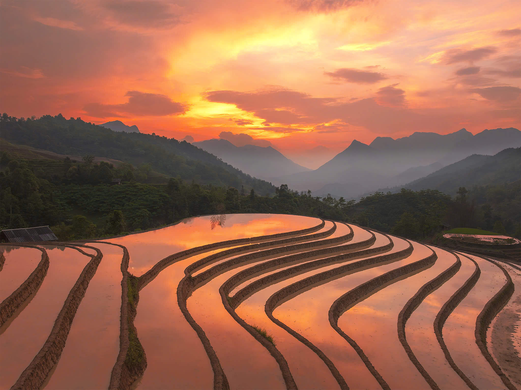 Water-filled rice terraces reflecting the sky during planting season